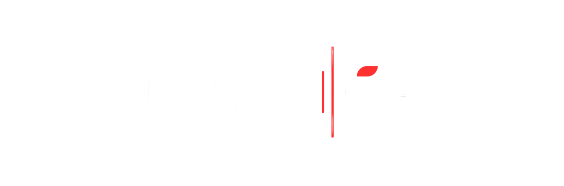 DreamDijital Logo